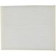 Purchase Top-Quality MOTORCRAFT - FP100A - Cabin Air Filter pa2