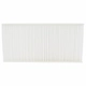 Purchase Top-Quality Cabin Air Filter by MOTORCRAFT - FP38 pa1