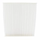 Purchase Top-Quality Cabin Air Filter by MOTORCRAFT - FP88 pa1