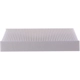 Purchase Top-Quality PRONTO FILTERS - PC5519 - Cabin Air Filter pa2