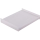 Purchase Top-Quality PRONTO FILTERS - PC6099 - Cabin Air Filter pa4