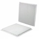 Purchase Top-Quality PROTEC AUTOPARTS - PXP24875 - Cabin Air Filter pa1