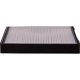 Purchase Top-Quality PUREZONE OIL & AIR FILTERS - 6-24689 - Cabin Air Filter pa5