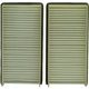 Purchase Top-Quality PUREZONE OIL & AIR FILTERS - 6-24811 - Cabin Air Filter pa2