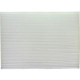 Purchase Top-Quality PUREZONE OIL & AIR FILTERS - 6-49352 - Cabin Air Filter pa6
