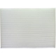 Purchase Top-Quality PUREZONE OIL & AIR FILTERS - 6WP10178 - Cabin Air Filter pa1