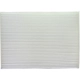 Purchase Top-Quality PUREZONE OIL & AIR FILTERS - 6WP10178 - Cabin Air Filter pa2