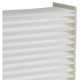 Purchase Top-Quality TYC - 800001P2 - Cabin Air Filter pa12