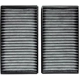 Purchase Top-Quality TYC - 800028C2 - Cabin Air Filter pa4