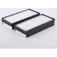 Purchase Top-Quality Cabin Air Filter by TYC - 800069P2 pa8