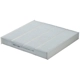 Purchase Top-Quality TYC - 800125P - Cabin Air Filter pa6