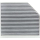Purchase Top-Quality Cabin Air Filter by TYC - 800145C pa10