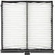 Purchase Top-Quality Cabin Air Filter by TYC - 800211P pa1