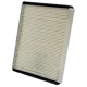 Purchase Top-Quality WIX - 24484 - Cabin Air Filter pa6