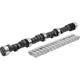 Purchase Top-Quality Cam And Lifter Kit by EDELBROCK - 2103 pa4