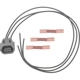 Purchase Top-Quality Cam Position Sensor Connector by BLUE STREAK (HYGRADE MOTOR) - S3124 pa3