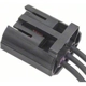 Purchase Top-Quality Cam Position Sensor Connector by BLUE STREAK (HYGRADE MOTOR) - S2212 pa13