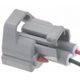 Purchase Top-Quality Cam Position Sensor Connector by BLUE STREAK (HYGRADE MOTOR) - S2544 pa3