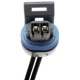 Purchase Top-Quality Cam Position Sensor Connector by BLUE STREAK (HYGRADE MOTOR) - S556 pa14