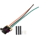 Purchase Top-Quality WALKER PRODUCTS - 270-1036 - Electrical Pigtail pa1