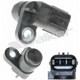 Purchase Top-Quality Cam Position Sensor by WALKER PRODUCTS - 235-1344 pa1