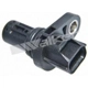 Purchase Top-Quality Cam Position Sensor by WALKER PRODUCTS - 235-1748 pa8