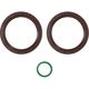 Purchase Top-Quality Camshaft Seal Set by FEL-PRO - TCS46187 pa6