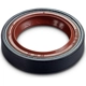 Purchase Top-Quality Camshaft Seal by VICTOR REINZ - 81-19299-10 pa1