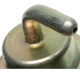 Purchase Top-Quality Carburetor Choke Pull-Off by BLUE STREAK (HYGRADE MOTOR) - CPA100 pa2