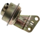 Purchase Top-Quality Carburetor Choke Pull-Off by BLUE STREAK (HYGRADE MOTOR) - CPA183 pa1