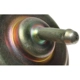 Purchase Top-Quality BLUE STREAK (HYGRADE MOTOR) - CPA213 - Choke Pull Off pa3