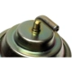 Purchase Top-Quality BLUE STREAK (HYGRADE MOTOR) - CPA214 - Choke Pull Off pa3