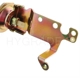 Purchase Top-Quality Carburetor Choke Pull-Off by BLUE STREAK (HYGRADE MOTOR) - CPA310 pa3