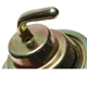 Purchase Top-Quality Carburetor Choke Pull-Off by BLUE STREAK (HYGRADE MOTOR) - CPA315 pa3
