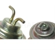 Purchase Top-Quality Carburetor Choke Pull-Off by BLUE STREAK (HYGRADE MOTOR) - CPA383 pa2