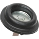 Purchase Top-Quality Carburetor Choke Pull-Off by BLUE STREAK (HYGRADE MOTOR) - CPA444 pa1