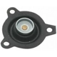 Purchase Top-Quality Carburetor Diaphragm by BLUE STREAK (HYGRADE MOTOR) - TY64-385 pa10