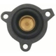 Purchase Top-Quality Carburetor Diaphragm by BLUE STREAK (HYGRADE MOTOR) - TY64-385 pa14