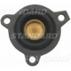 Purchase Top-Quality Carburetor Diaphragm by BLUE STREAK (HYGRADE MOTOR) - TY64-385 pa7