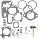 Purchase Top-Quality Carburetor Kit by BLUE STREAK (HYGRADE MOTOR) - 1220C pa6