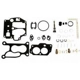 Purchase Top-Quality Carburetor Kit by BLUE STREAK (HYGRADE MOTOR) - 1400A pa3