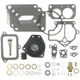 Purchase Top-Quality Carburetor Kit by BLUE STREAK (HYGRADE MOTOR) - 1523 pa2