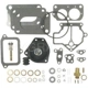 Purchase Top-Quality Carburetor Kit by BLUE STREAK (HYGRADE MOTOR) - 1523 pa3