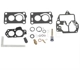 Purchase Top-Quality Carburetor Kit by BLUE STREAK (HYGRADE MOTOR) - 1606 pa2