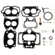 Purchase Top-Quality Carburetor Kit by BLUE STREAK (HYGRADE MOTOR) - 356B pa1