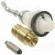 Purchase Top-Quality Carburetor Kit by BLUE STREAK (HYGRADE MOTOR) - 940 pa1