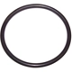 Purchase Top-Quality Carburetor Transfer Tube O-Ring by CROWN AUTOMOTIVE JEEP REPLACEMENT - 53000575 pa1