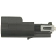 Purchase Top-Quality BLUE STREAK (HYGRADE MOTOR) - S1491 - Cargo Light Connector pa26