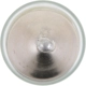 Purchase Top-Quality PHILIPS - DE3175LLB2 - Miniature Bulbs pa1