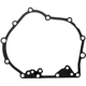 Purchase Top-Quality Case Side Cover Gasket by PIONEER - 749125 pa1